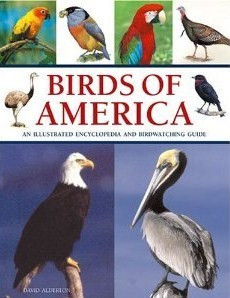 David Alderton / Birds of America (Coffee Table Book)