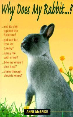 Anne McBride / Why Does My Rabbit . . . ? (Large Paperback)