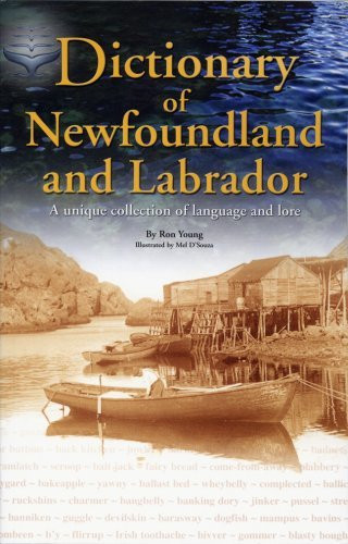 Ron Young / Dictionary Of Newfoundland and Labrador (Large Paperback)