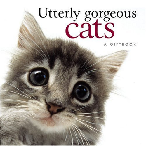 Pam Brown / Utterly Gorgeous Cats (Hardback)