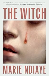 Marie NDiaye / The Witch (Large Paperback)