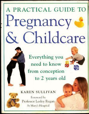 Karen Sullivan / A Practical Guide to Pregnancy and Childcare: Everything You Need to Know from Conception to 2 Years Old (Coffee Table Book)