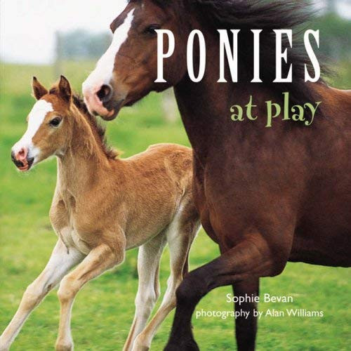 Sophie Bevan / Ponies at Play (Hardback)