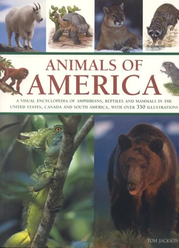 Tom Jackson / Animals of America (Coffee Table Book)