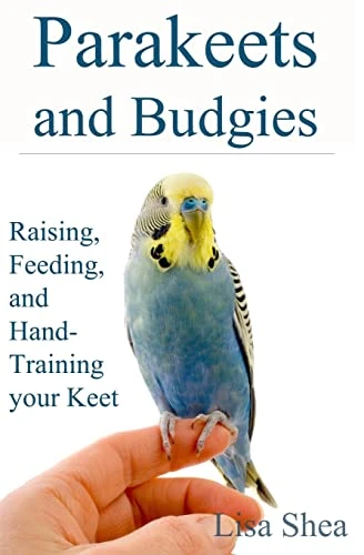 Lisa Shea / Parakeets And Budgies (Large Paperback)