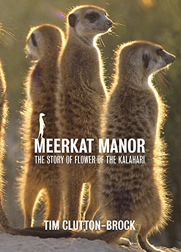 Tim Clutton-Brock / Meerkat Manor (Coffee Table Book)