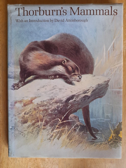 Archibald Thorburn- Thorburn's Mammals - HB Book Club Edition 1974  4