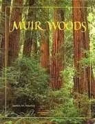 James M. Morley / Muir Woods (Coffee Table Book)