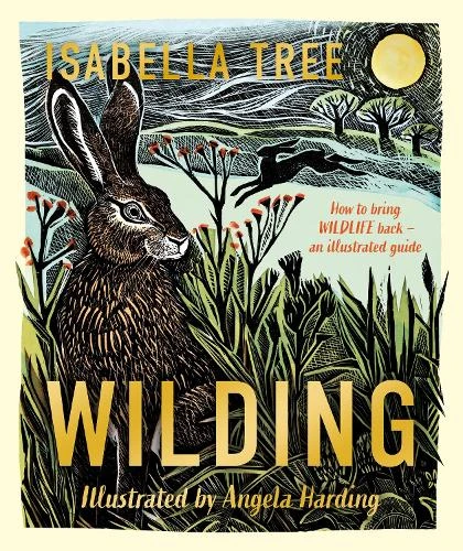 Isabella Tree / Wilding: How to Bring Wildlife Back - an Illustrated Guide (Children's Coffee Table book)
