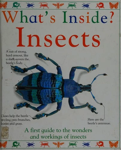 Angela Royston / Insects (Coffee Table Book)