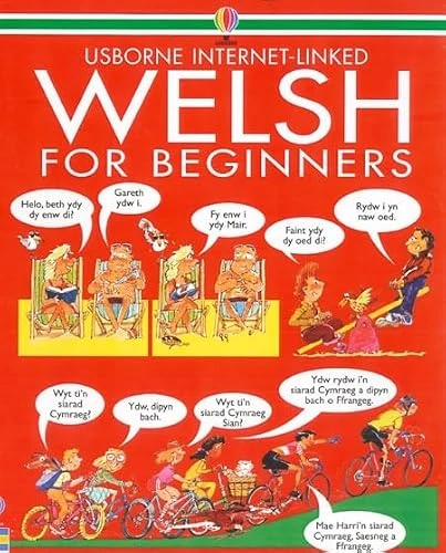 Angela Wilkes / Welsh For Beginners (Coffee Table Book)