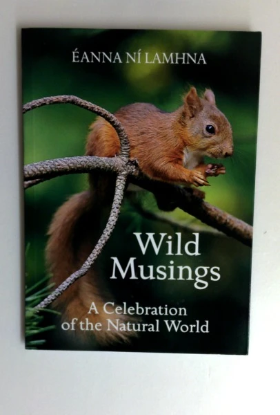 Eanna. Ni Lamhna / Wild Musings