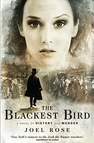 Joel Rose / The Blackest Bird