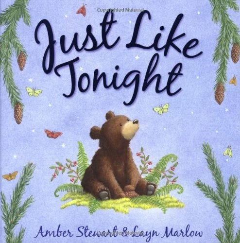 Amber Stewart / Just Like Tonight (Children's Picture Book)