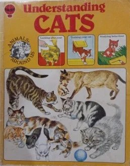Bridget Gibbs / Understanding Cats (Children's Picture Book)