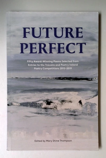 Mary Shine Thompson / Future Perfect (Large Paperback)