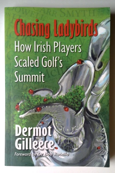 Dermot Gilleece / Chasing Ladybirds (Large Paperback)