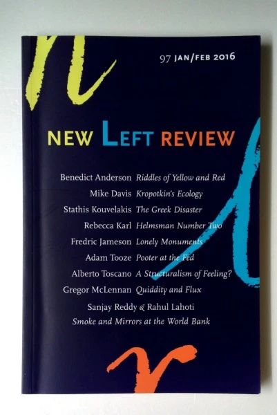 Susan Watkins / New Left Review (Large Paperback)