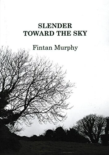 Fintan Murphy / Slender Toward the Sky (Large Paperback)