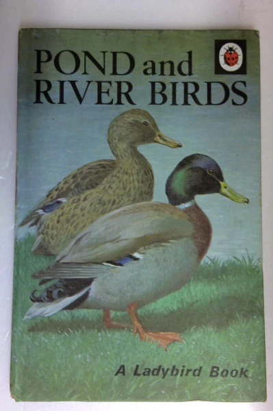 Pond and River Birds (Vintage Ladybird)