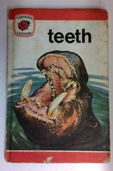 Teeth (Ladybird Leaders) (Vintage Ladybird)