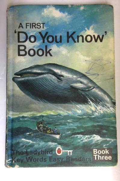 A First 'Do You Know' Book (Vintage Ladybird)