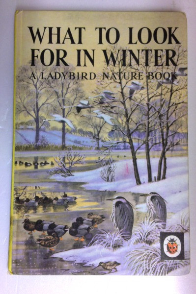 What to Look for in Winter (Vintage Ladybird)