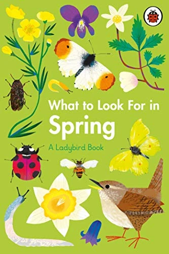 What to Look For in Spring (Ladybird)