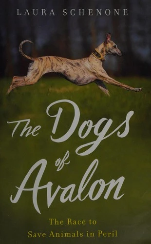 Laura Schenone / The dogs of Avalon (Hardback)