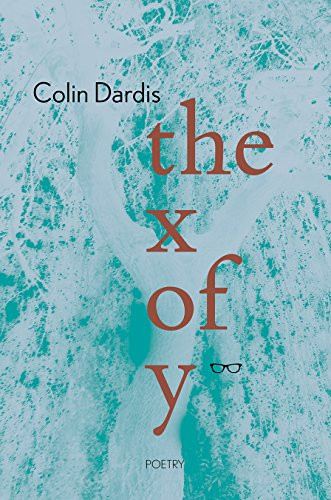 Colin Dardis / The x of y (Large Paperback)