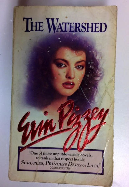 Erin Pizzey / The Watershed (Older Edition Small Paperback)