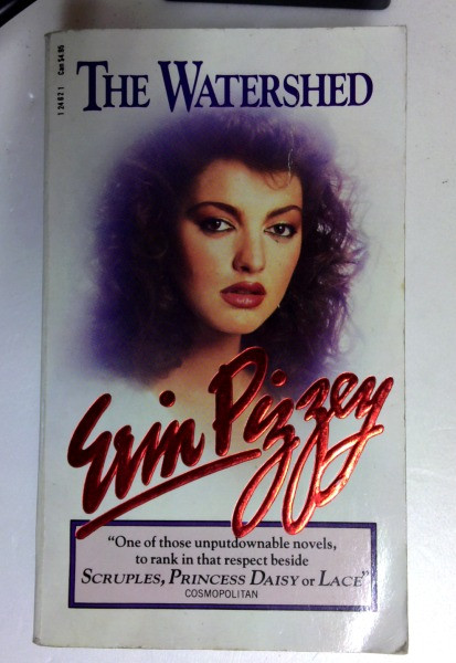 Erin Pizzey / The Watershed (Older Edition Small Paperback) (1)