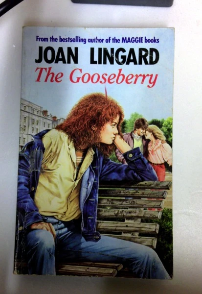 Joan Lingard / The Gooseberry (Red Fox Older Fiction) (Older Edition Small Paperback)