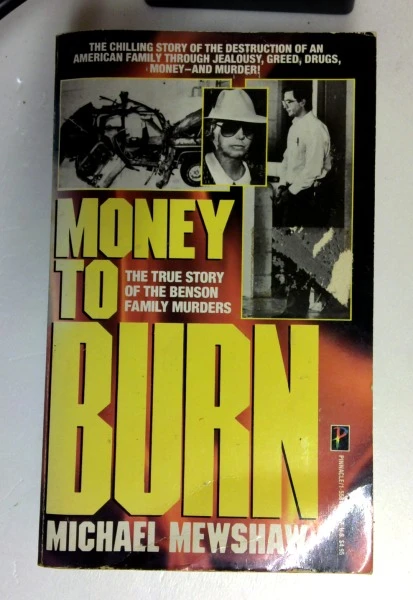 Michael Mewshaw / Money to Burn (Older Edition Small Paperback)