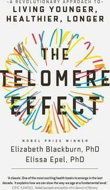 Elizabeth Blackburn / The Telomere Effect (Large Paperback)