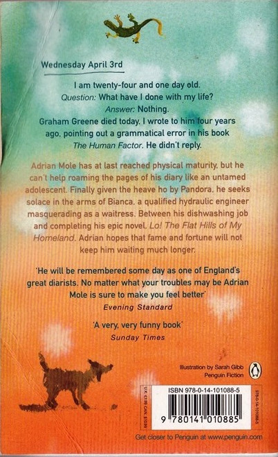 Sue Townsend / Adrian Mole: The Wilderness Years