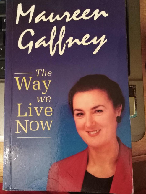 Maureen Gaffney / The Way We Live Now (Large Paperback)