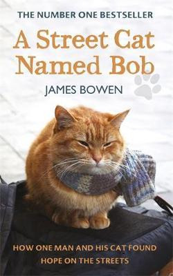 James Bowen / A Street Cat Named Bob : How one man and his cat found hope on the streets (Large Paperback)