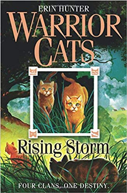 Erin Hunter / Rising Storm (Warrior Cats)
