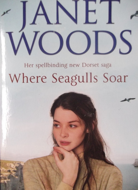 Janet Woods / Where Seagulls Soar