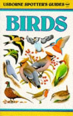 J. Philip Holden / Birds