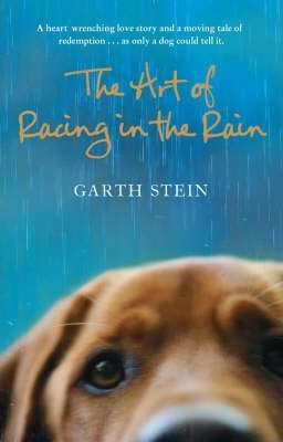 Garth Stein / The Art of Racing in the Rain (Large Paperback)