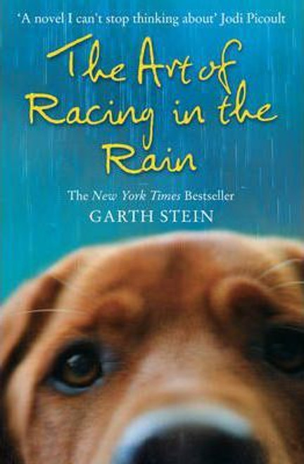 Garth Stein / The Art of Racing in the Rain