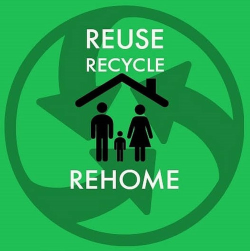 Re-Home or Recycle your books