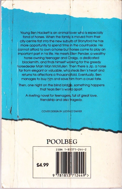 June Considine / View from a Blind Bridge