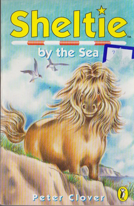 Peter Clover / Sheltie by the Sea