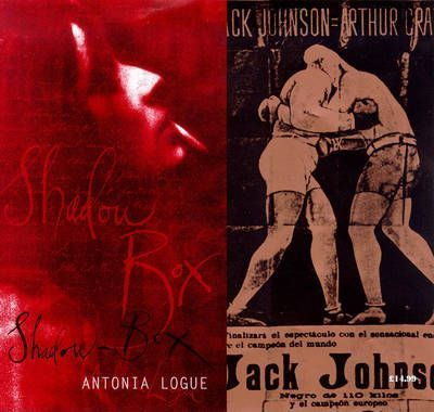 Antonia Logue / Shadow-box (Hardback)