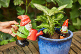 Father's Day Gift Guide