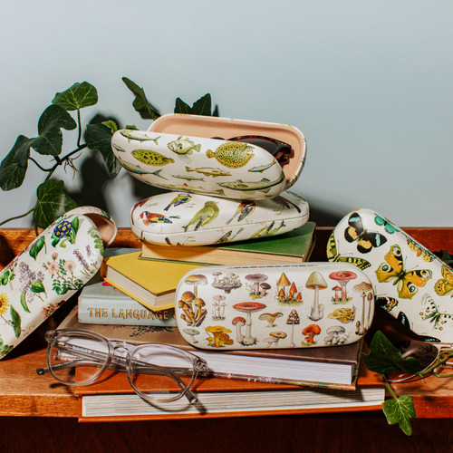 Vintage Birds Glasses Case