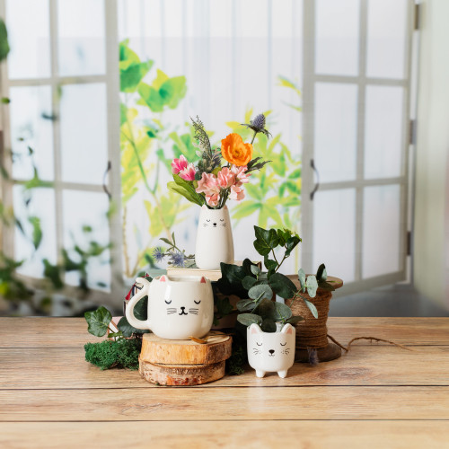 Cutie Cat Shaped Mug